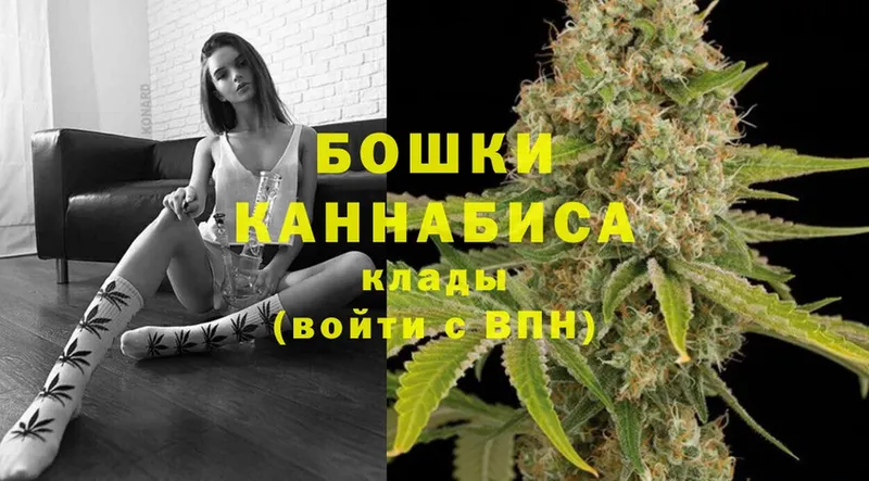 Бошки марихуана OG Kush  Починок 